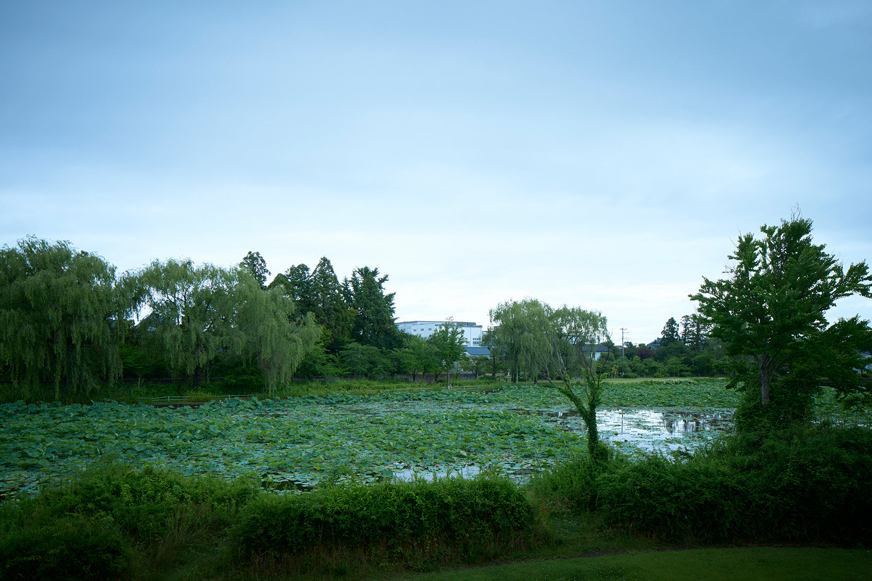 Making sake is a source of pride.